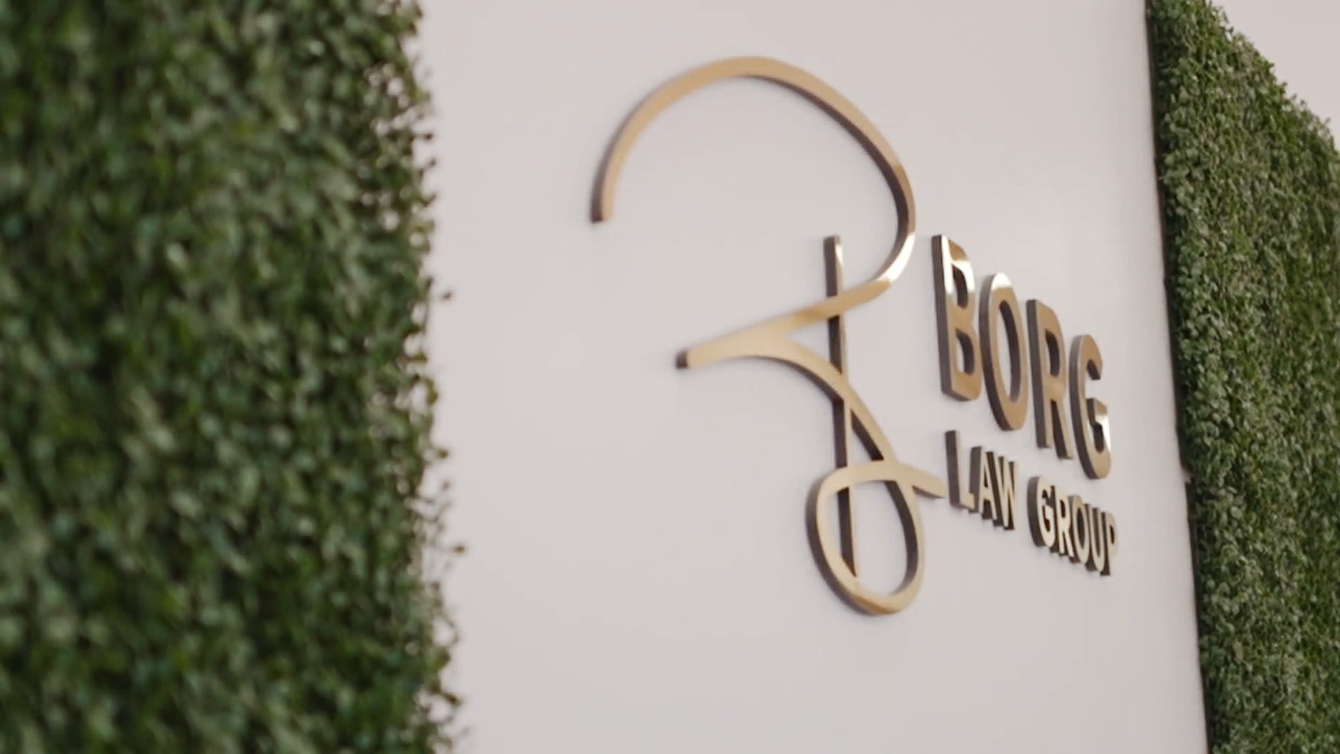 Borg Law Group video
